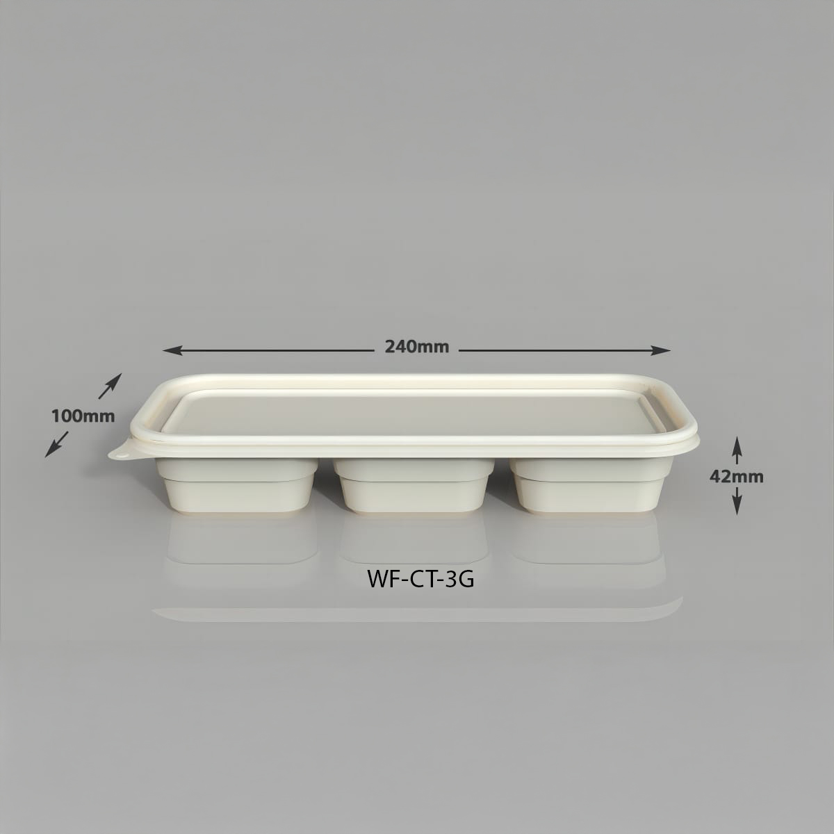 WF 3CP Long Grid lunch box (WL)