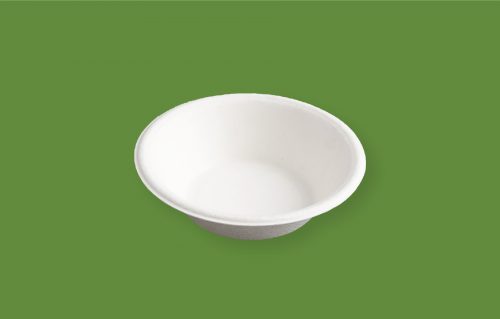 Bagasse Products
